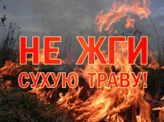 Палы травы запрещены